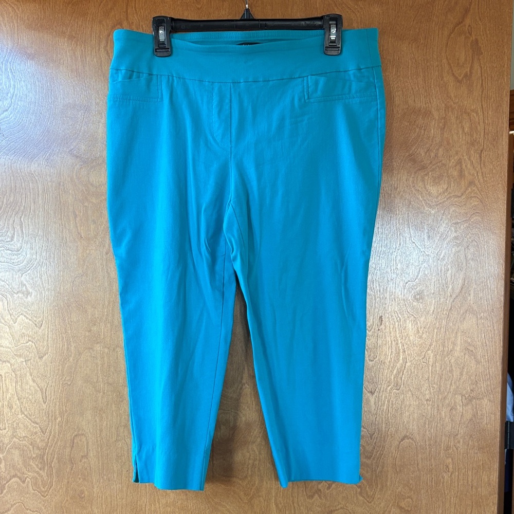 Zac & Rachel Teal Capri Pants